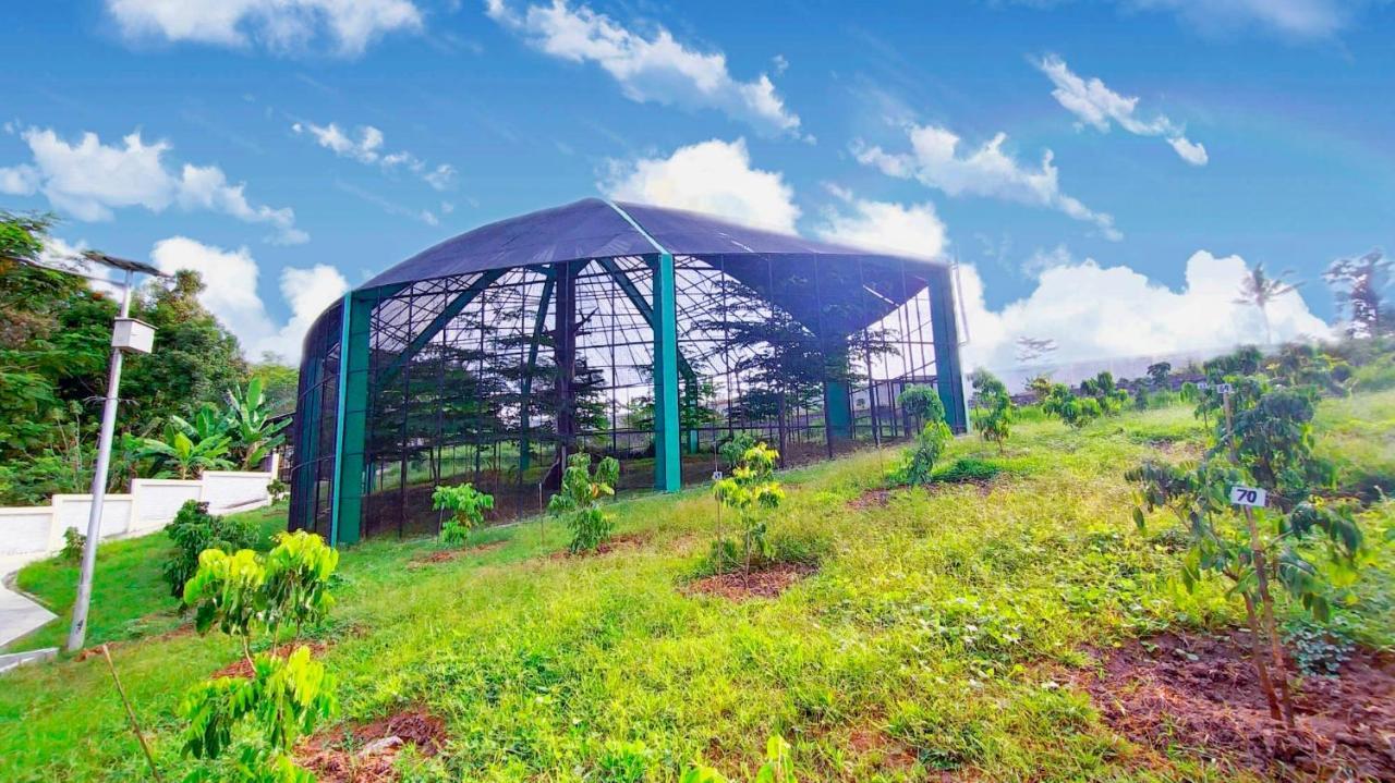 Kasuari Exotic Resort マゲラン エクステリア 写真