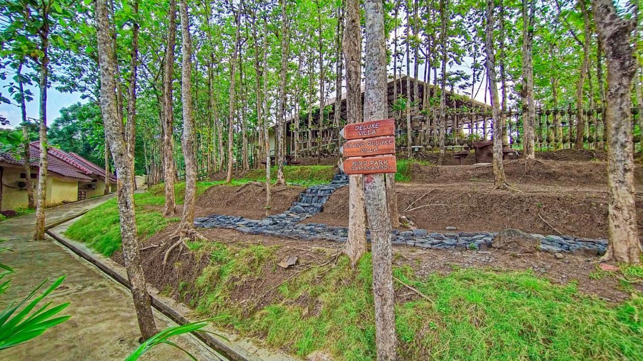 Kasuari Exotic Resort マゲラン エクステリア 写真